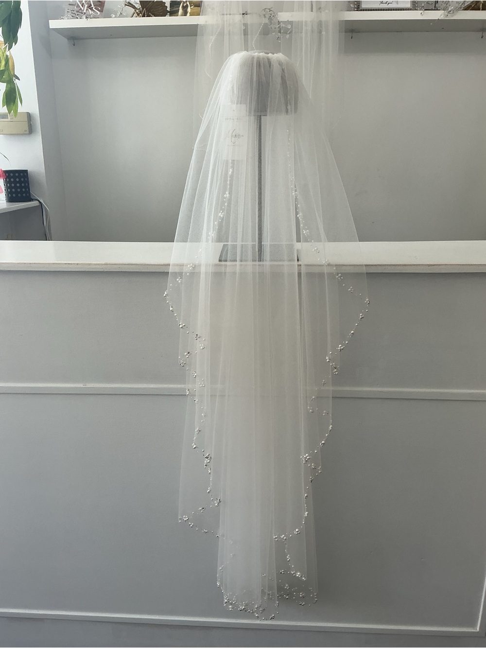 Embellished Edge Bridal Veil - White